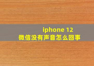 iphone 12微信没有声音怎么回事